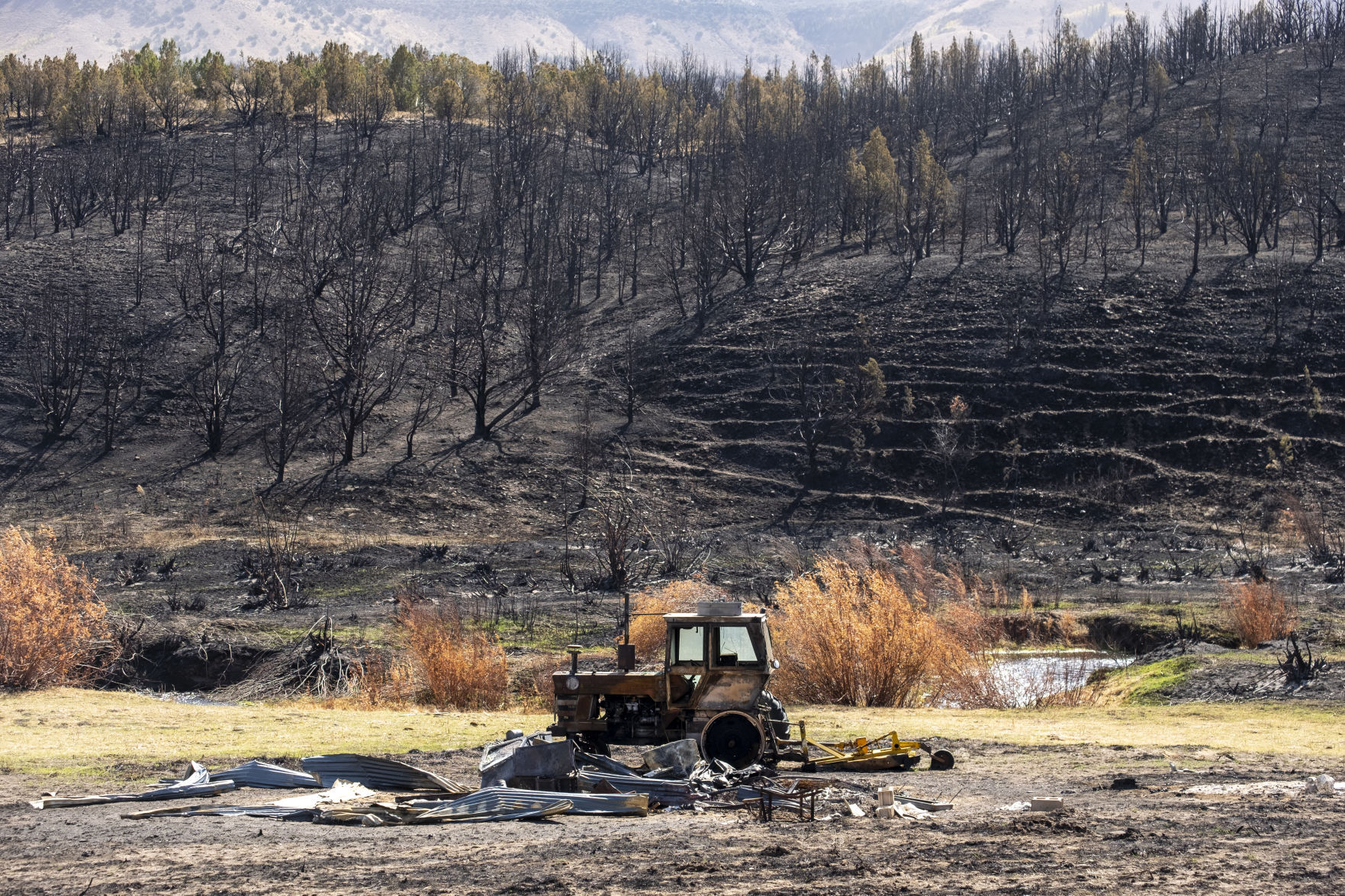 Badger Fire damage in Trapper Creek